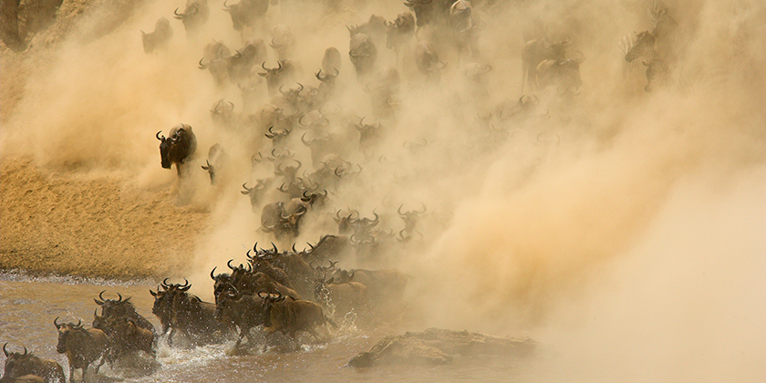 The Customer Agent Stampede: How Enterprises Can Prepare for Personal AI Agents at Scale