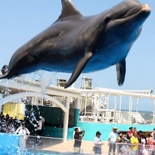 Acuario De Veracruz