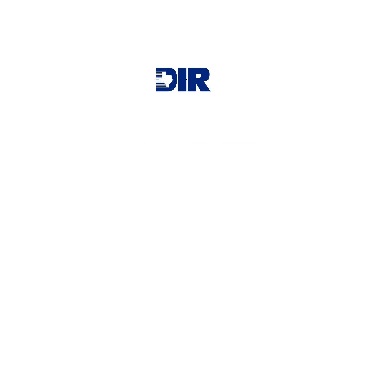 Texas DIR logo