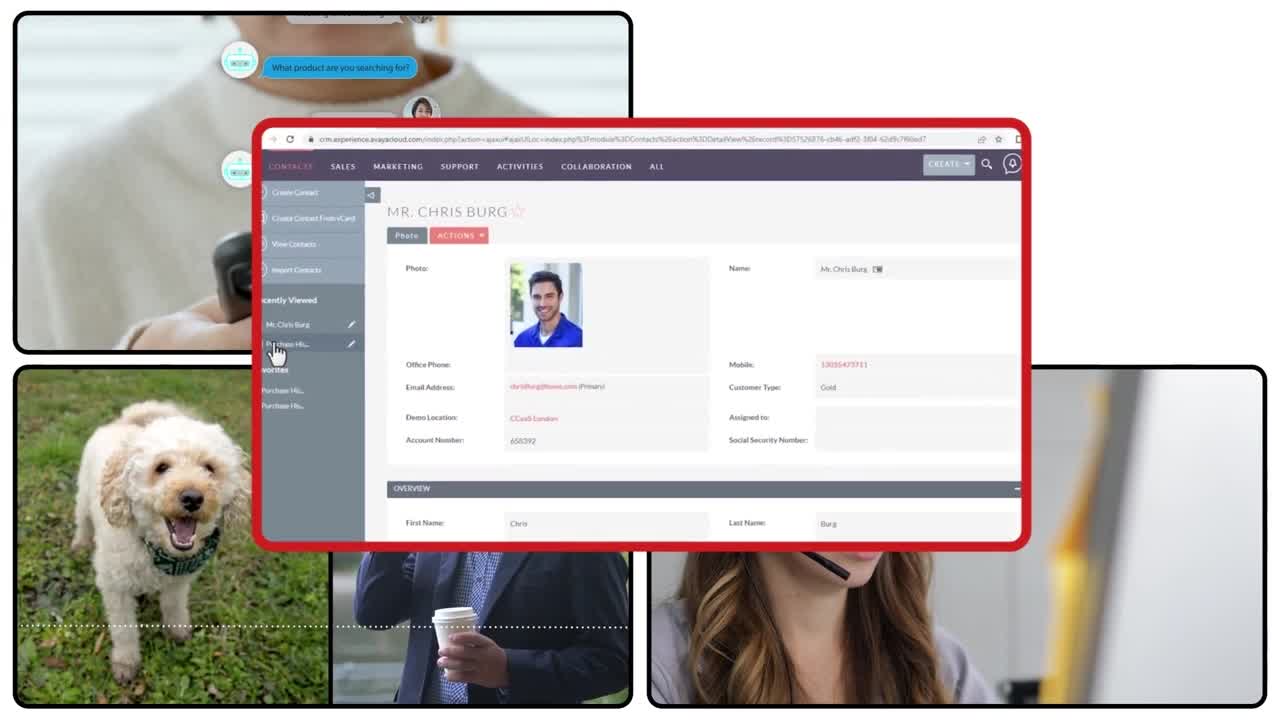 Innova sin interrupciones con Avaya Experience Platform