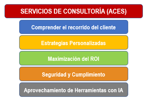 Cómo los Consultores de Servicios Profesionales ayudan a las empresas a optimizar la Experiencia del Cliente en cinco pasos