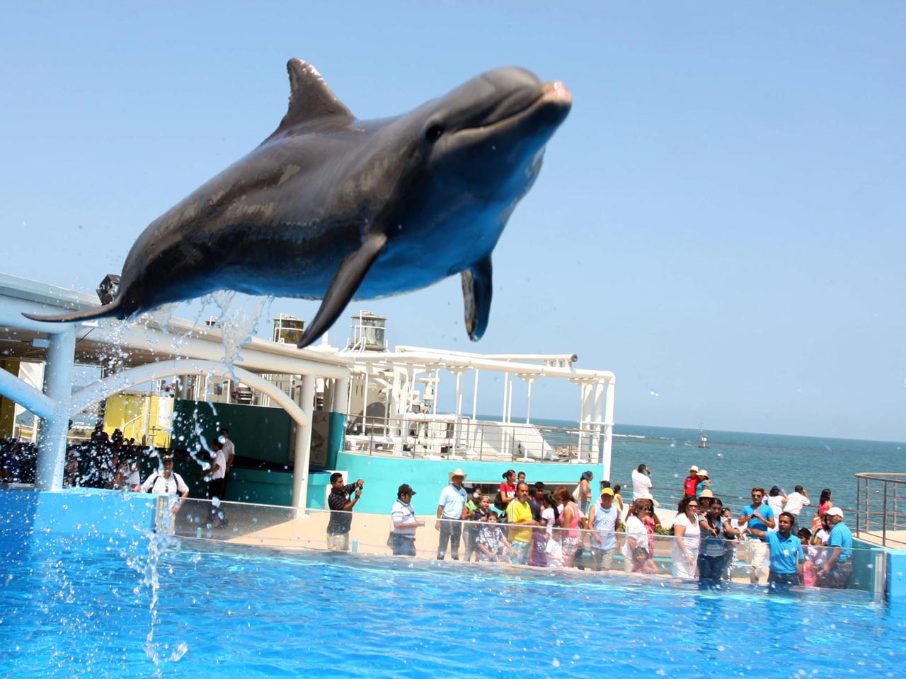  Acuario de Veracruz